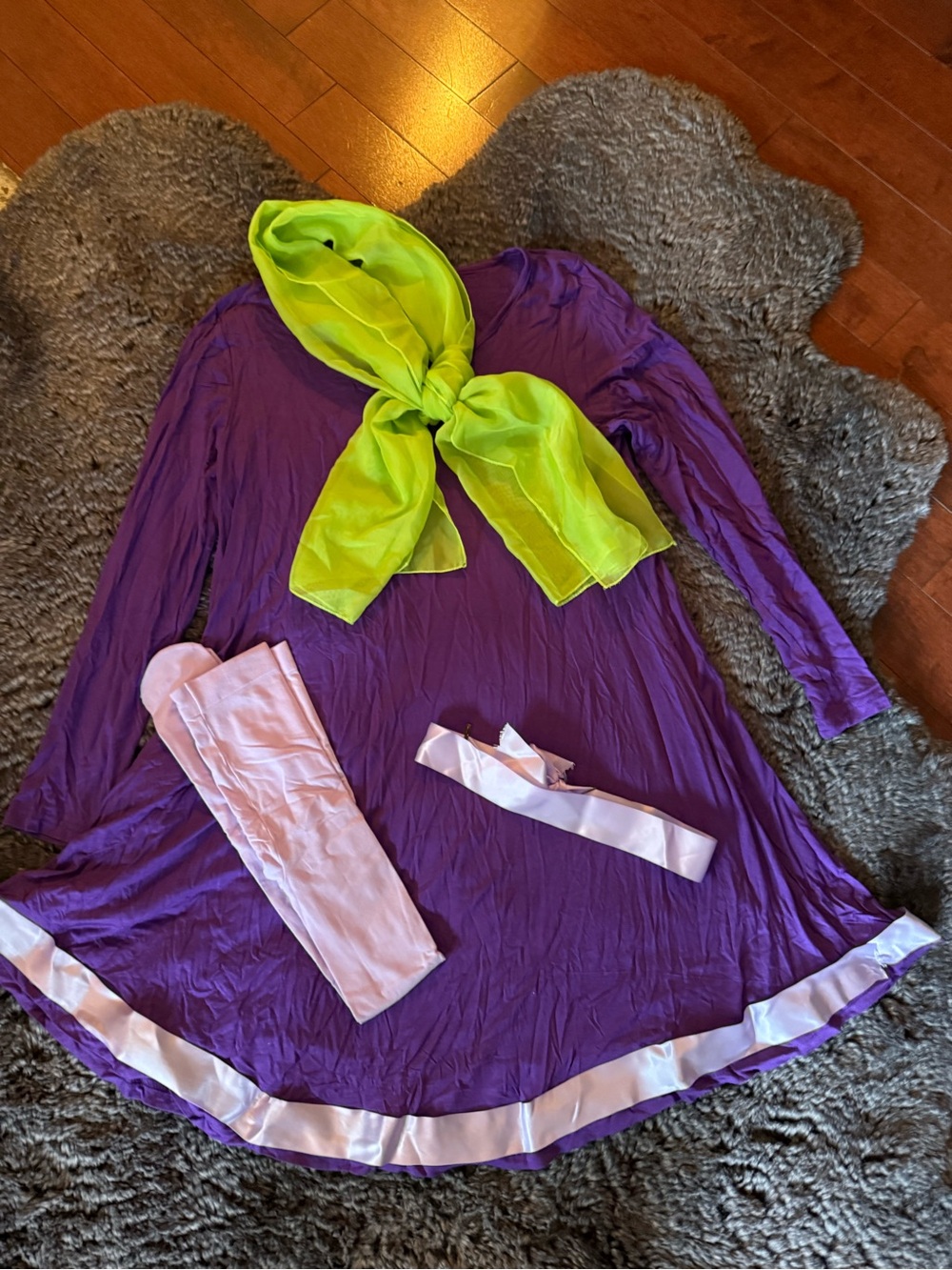Scooby Doo’s Daphne Costume